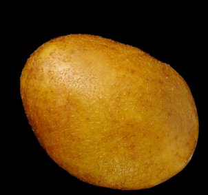 Lavée